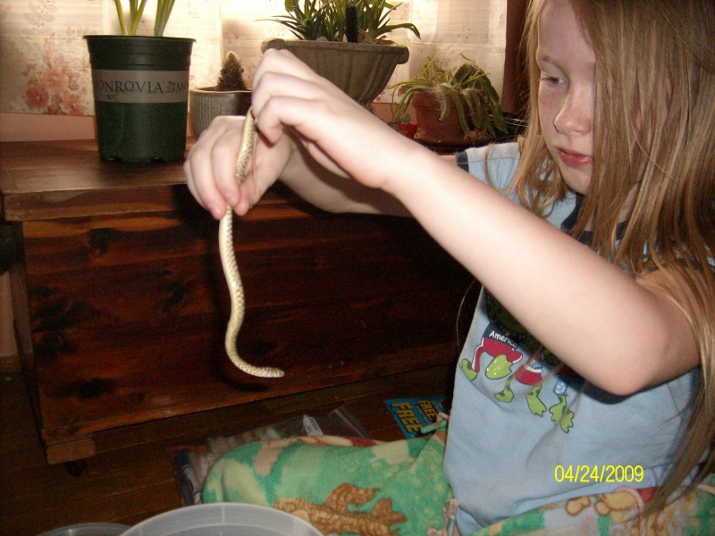 Julia_holing_her_baby_bullsnake