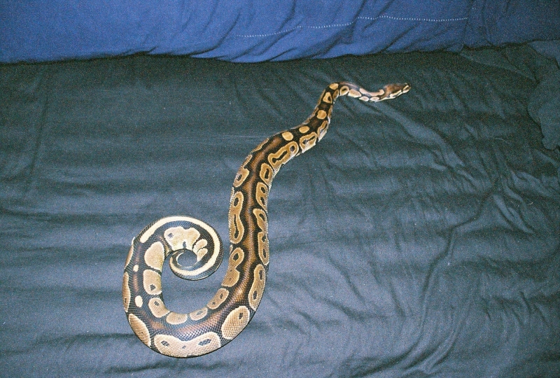 Juliet again