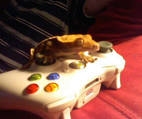 Jumpu Pwns Halo3