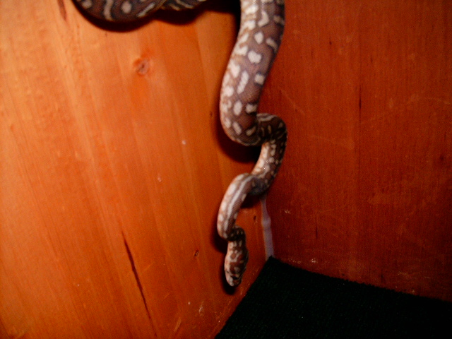 just hanging around