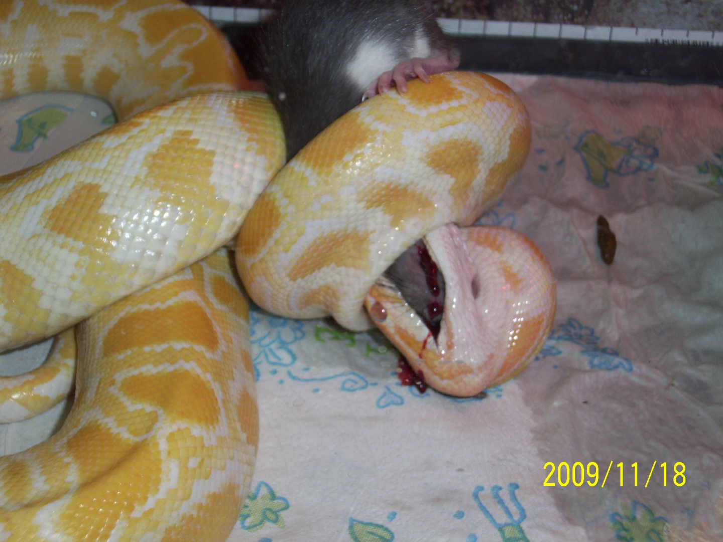 kelly_s_camera_084