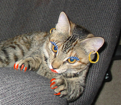 Kiki ~ Dressed for Halloween