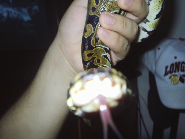 look at my tongue