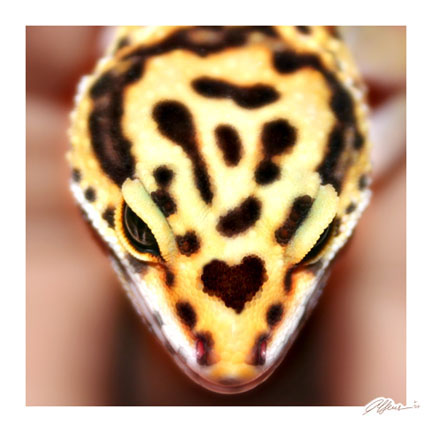 love...