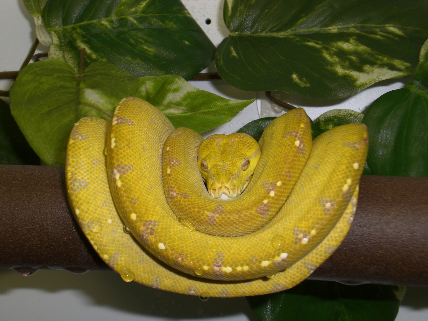 Lovely animals