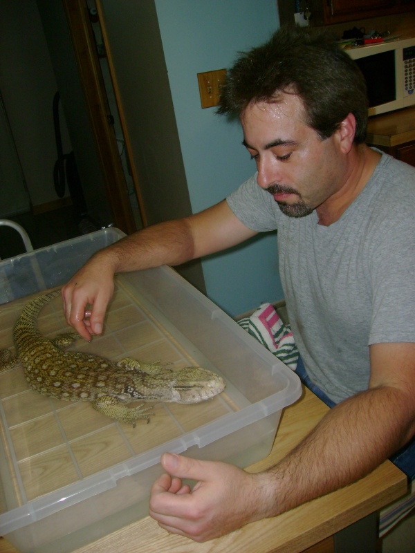 Lucky - my rescue savannah monitor