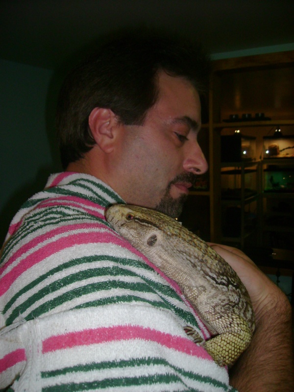 Lucky - my rescue savannah monitor