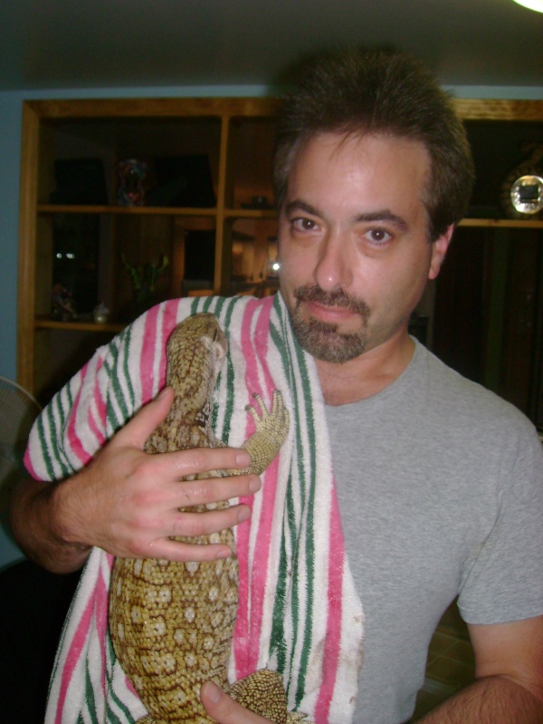 Lucky - my rescue savannah monitor