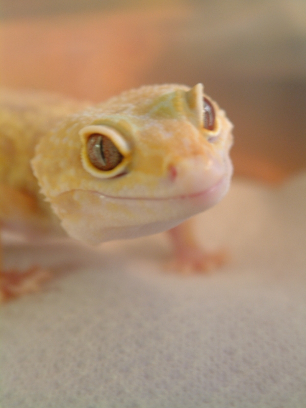 LV Female close up