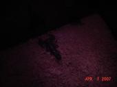m_983eccec51743766365fdb5d3dfd4c1a