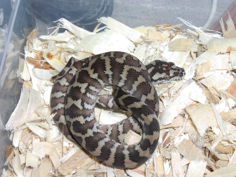 Male_7_1_