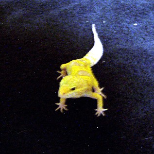 male_pic_3