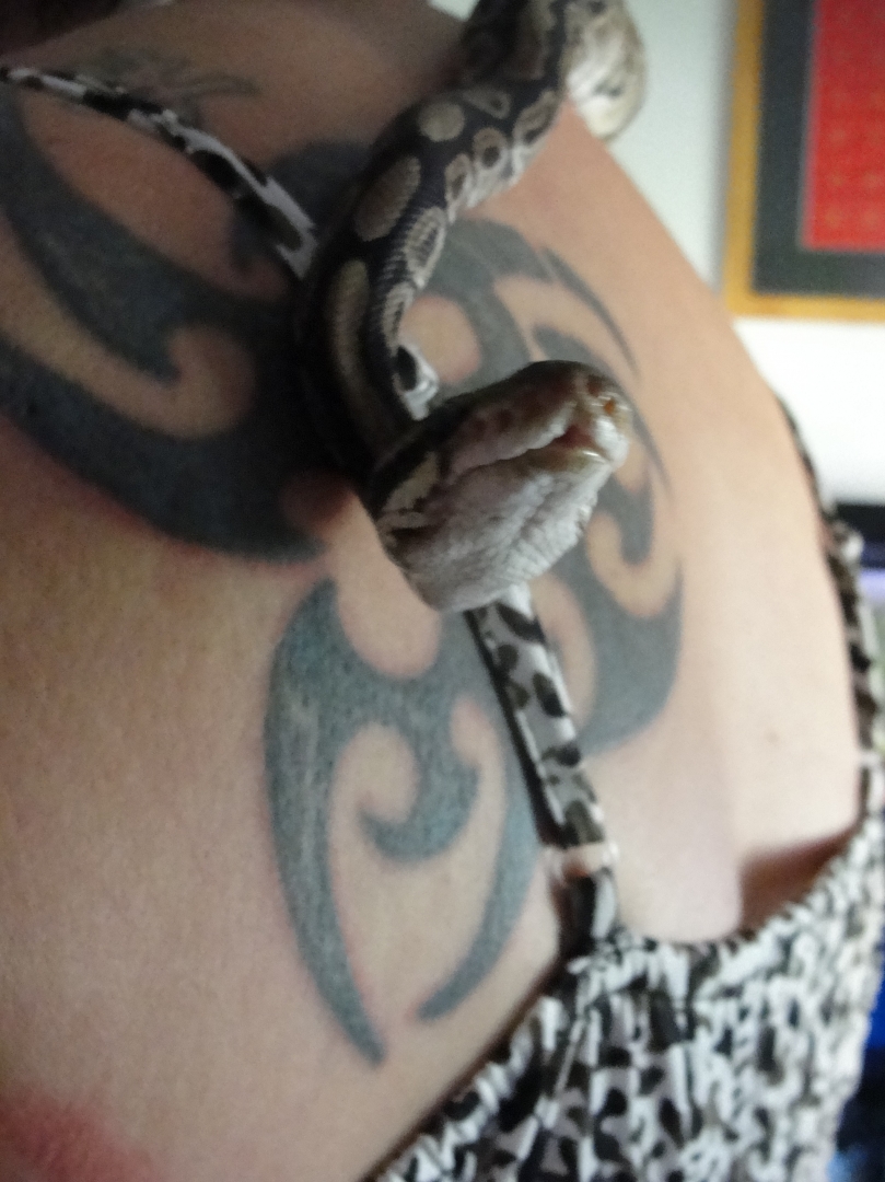 Marley