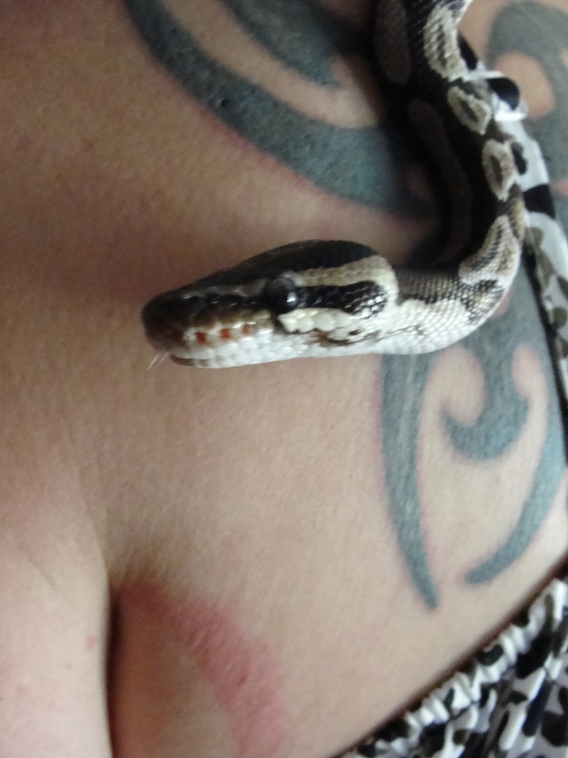 Marley