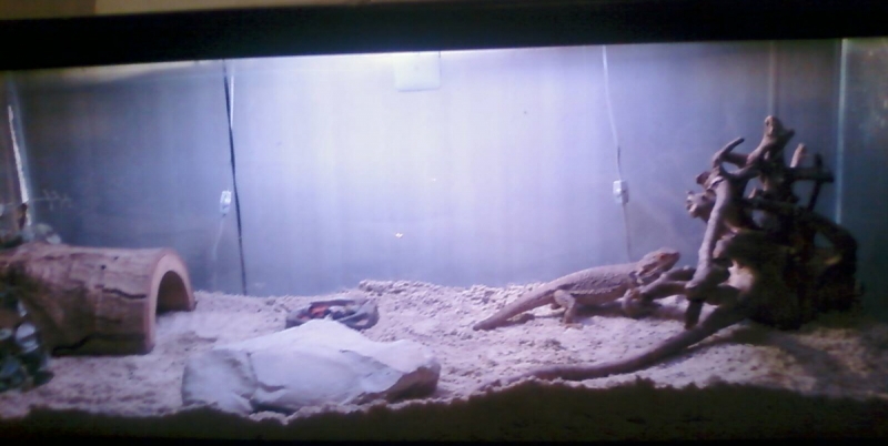 Matildas new digs