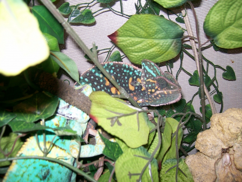 misc_1_012