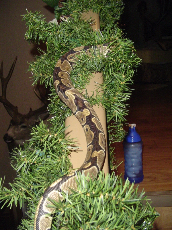 Monty's favorite spot