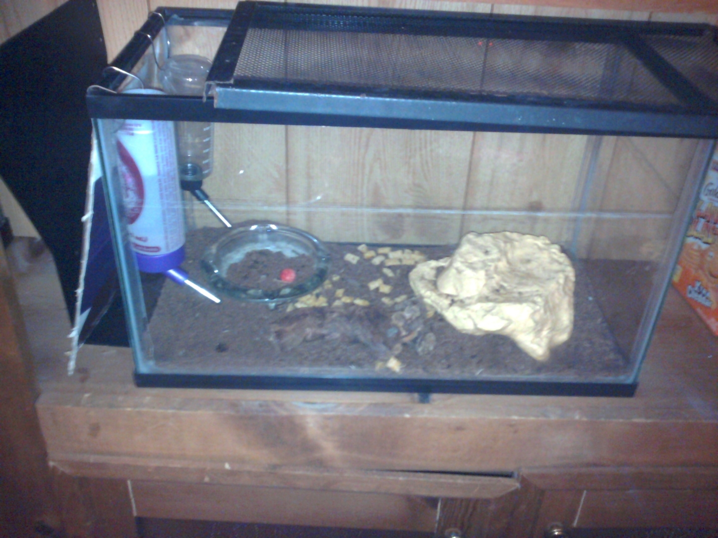 Mouse Tank