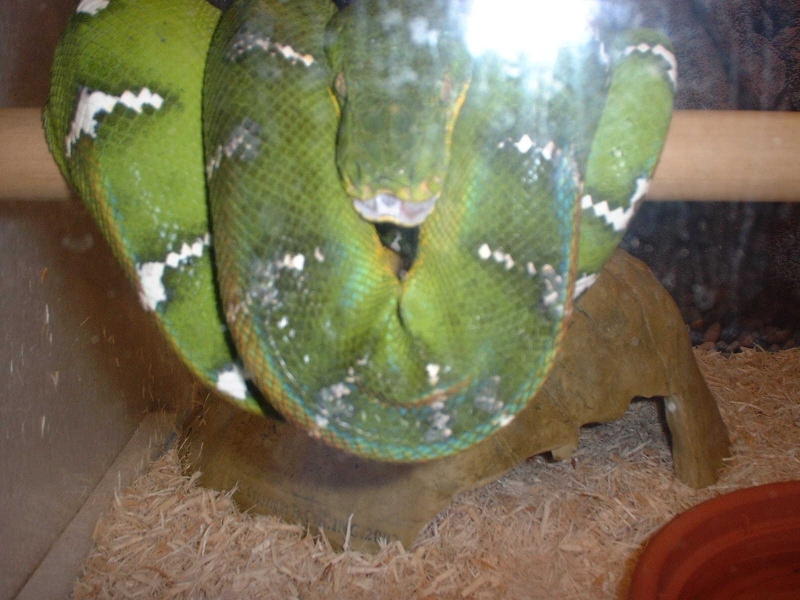 mouth3