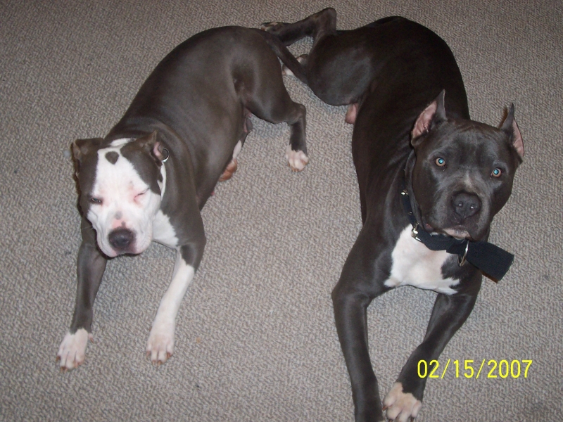 my blues