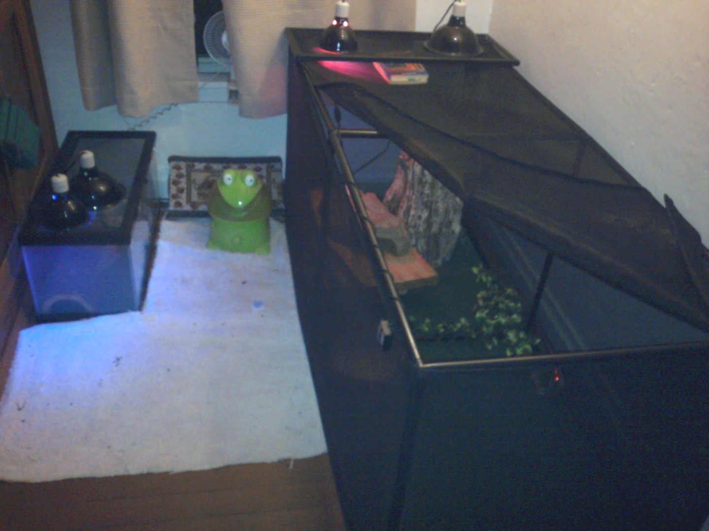 My current reptile room