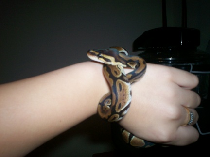 My little girl
