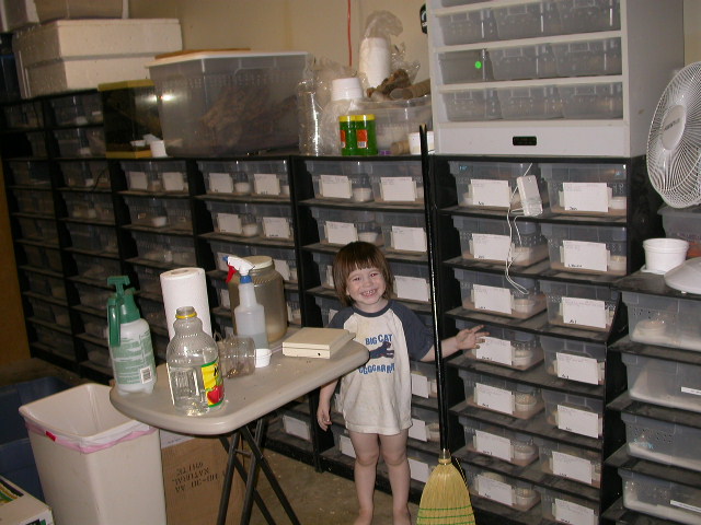 My Little Helper