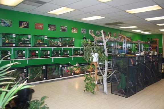 My Reptile Store- Reptile Addictions