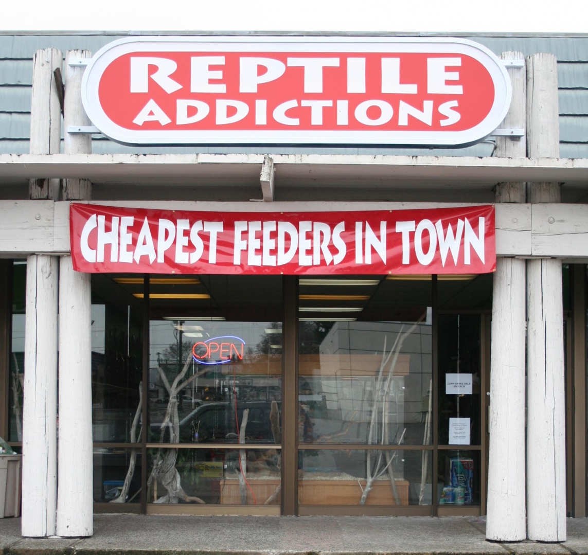 My Reptile Store- Reptile Addictions