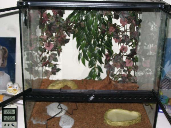 my set up