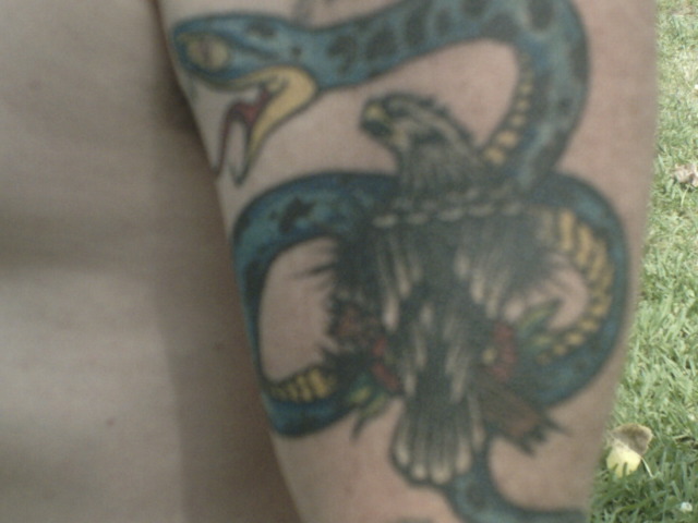 my snake tat web cam