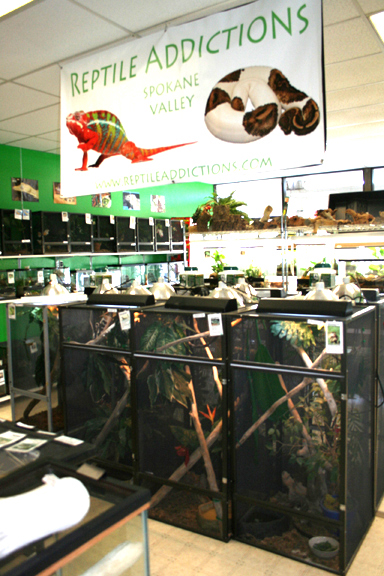 My Store- Reptile Addictions