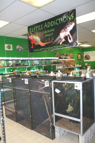 My Store- Reptile Addictions