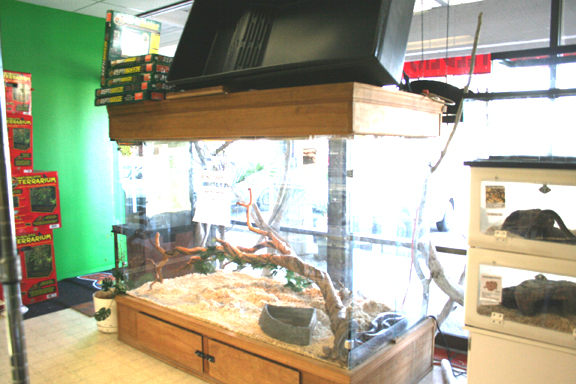 My Store- Reptile Addictions