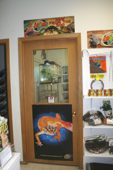 My Store- Reptile Addictions