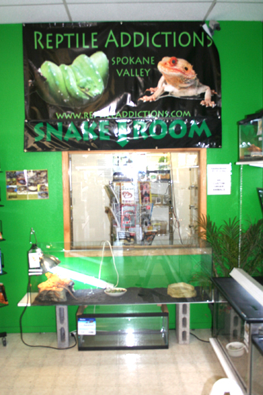 My Store- Reptile Addictions