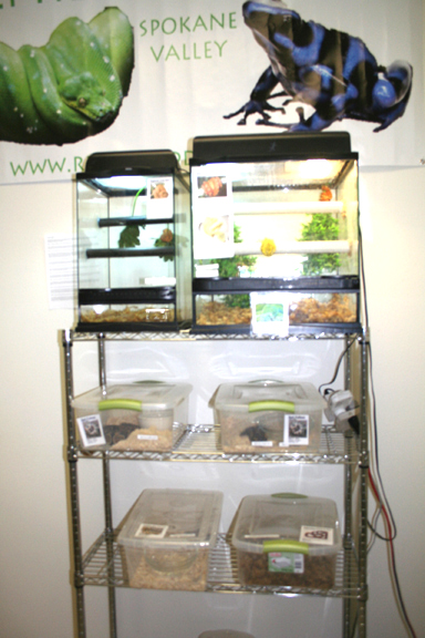 My Store- Reptile Addictions