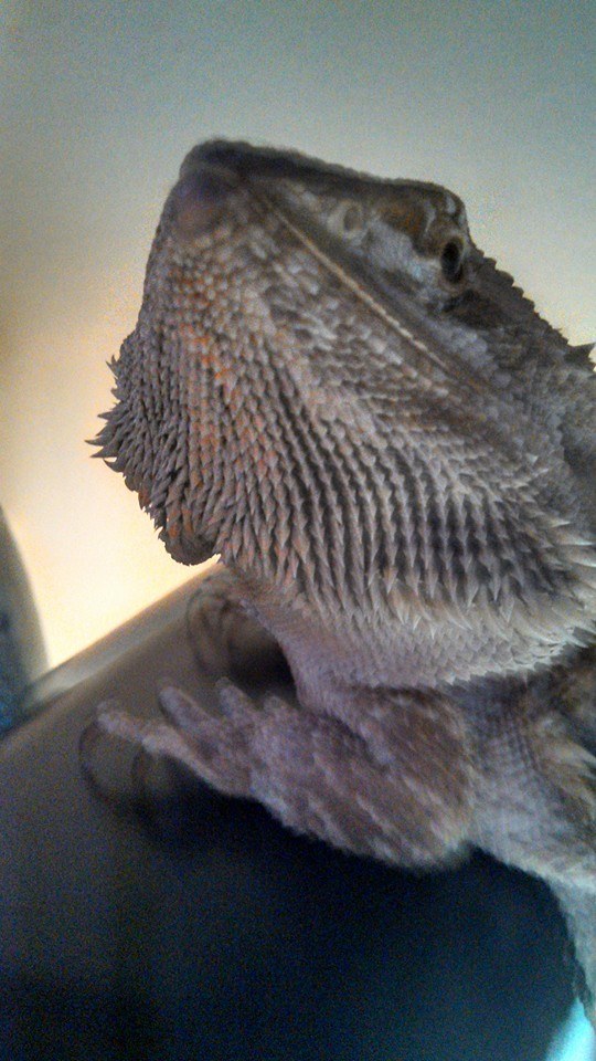 My sweet boy