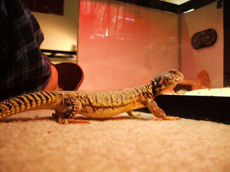 My uro :)