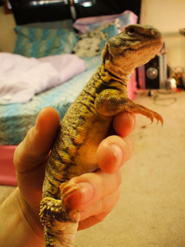 My uro :)