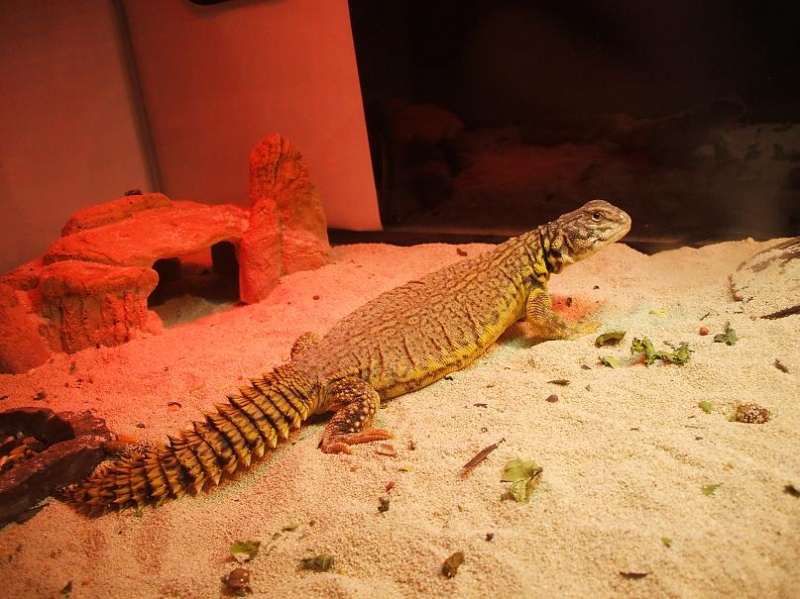 My uro :)
