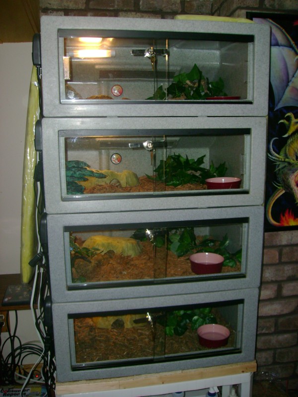 my vision 221s setup