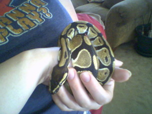 myball