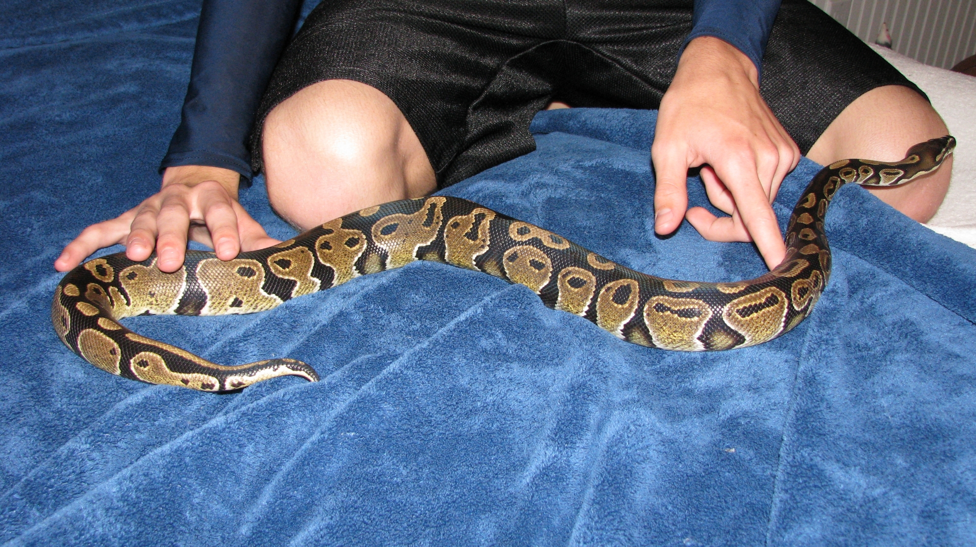 Neo at 2 years old