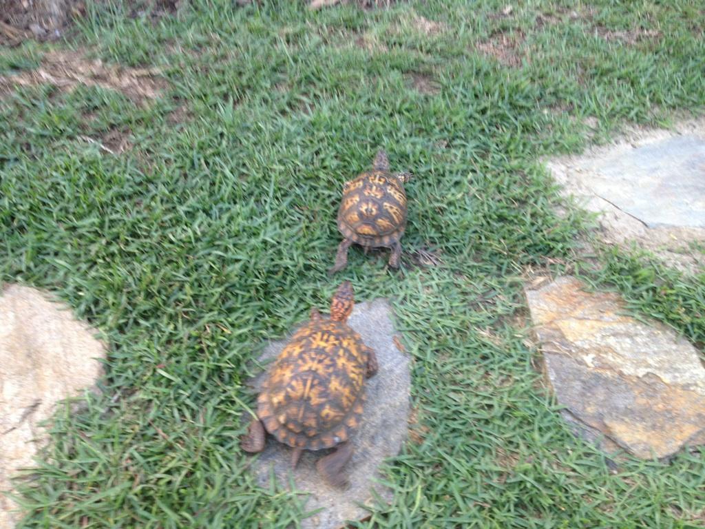 New Female and our Male-1