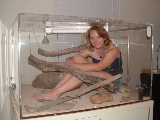 New Frilled dragon cage