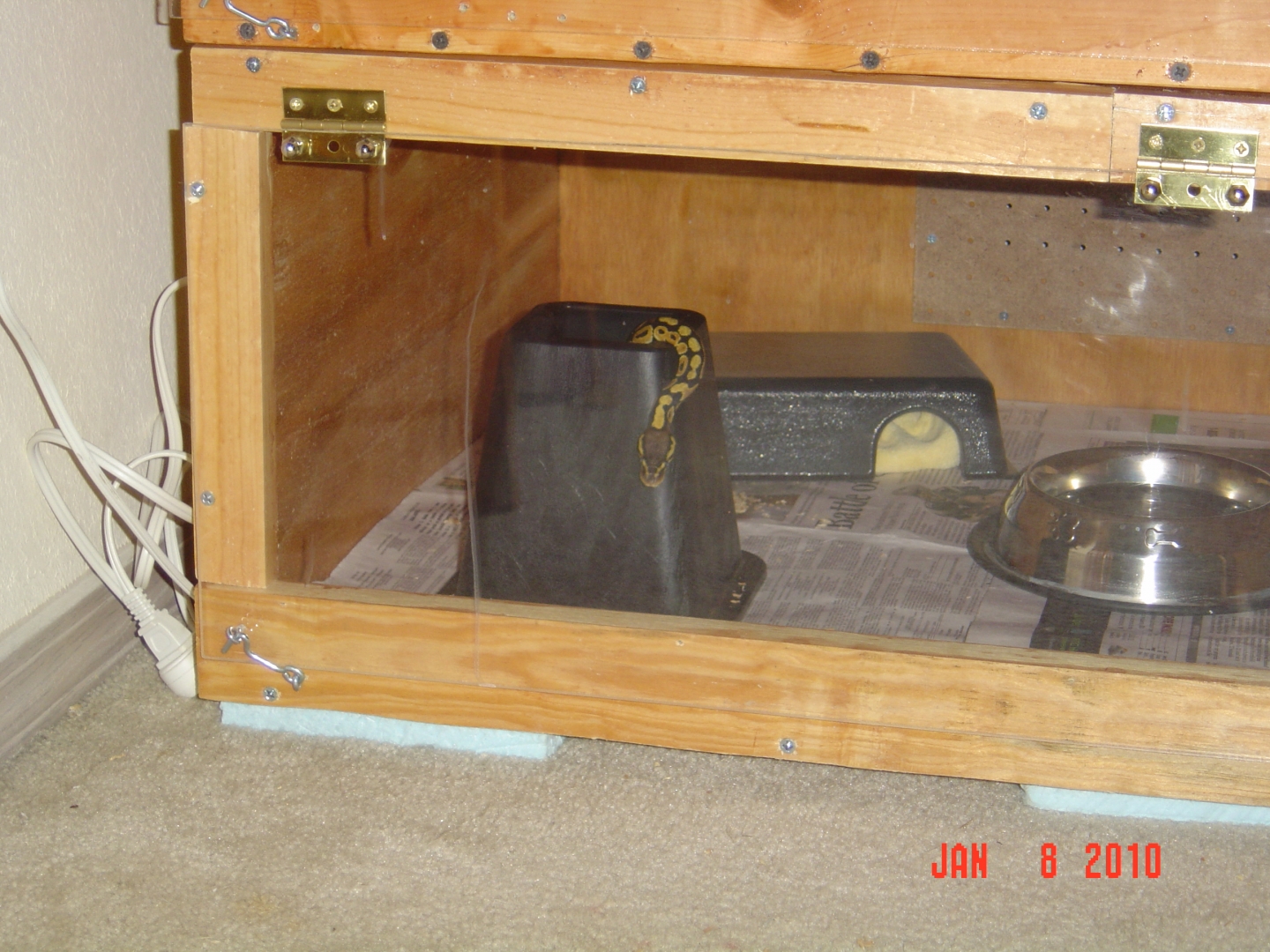 new hide