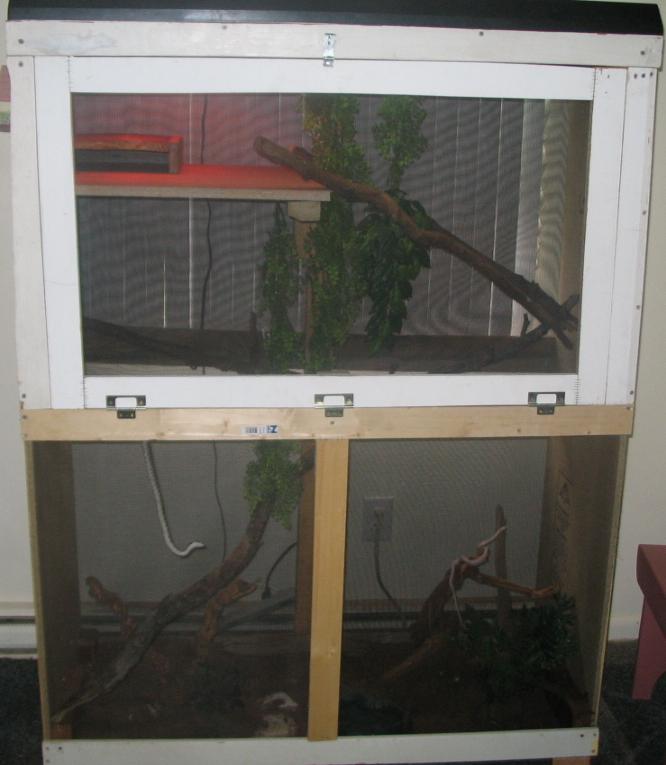 Newly built enclosure