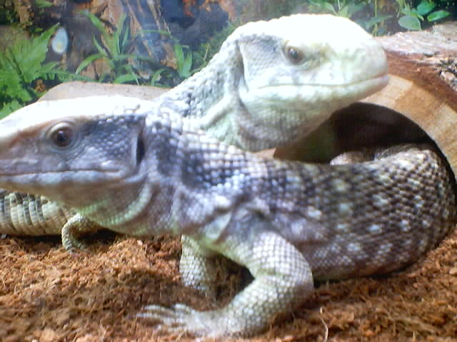 Older Picture1