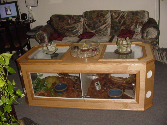 Our  coffee table terrarium custom built us by
